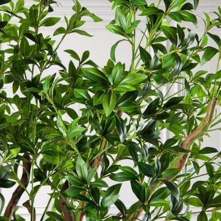 300/ВИТ/АСС/526(з)(F) Бересклет искусственный h300 д150см 300/ВИТ/АСС/526(з)(F) Бересклет искусственный h300 д150см