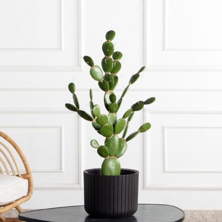 КА02-3(з)(F) Кактус искусственный Опунция h70 д50см