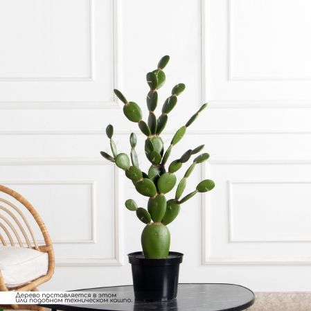 КА02-3(з)(F) Кактус искусственный Опунция h70 д50см КА02-3(з)(F) Кактус искусственный Опунция h70 д50см