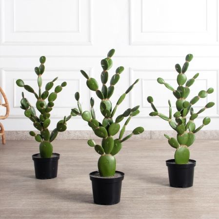 КА02-3(з)(F) Кактус искусственный Опунция h70 д50см КА02-3(з)(F) Кактус искусственный Опунция h70 д50см