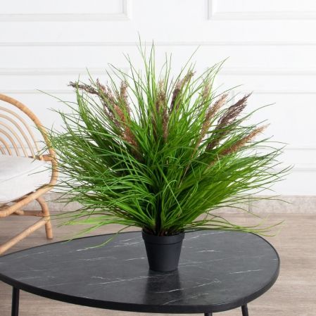 ЦС91-4(з)(Пр)(F) Трава Осока h50 д60см