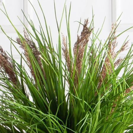 ЦС91-4(з)(Пр)(F) Трава Осока h50 д60см ЦС91-4(з)(Пр)(F) Трава Осока h50 д60см