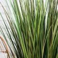 ЦС118-1/2(з)(F) Трава Осока исусственная раскидистая h100см