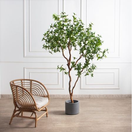 200/ВИТ/АСС/526(з)(F) Бересклет искусственный  h200см d130х80см, латекс