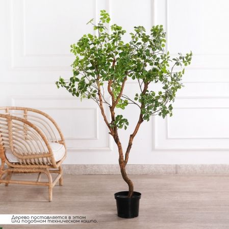 150/ВИТ/АСС/534(з)(F) Шеффлера искусственная Компакта h150см d60х60см, латекс 150/ВИТ/АСС/534(з)(F) Шеффлера искусственная Компакта h150см d60х60см, латекс