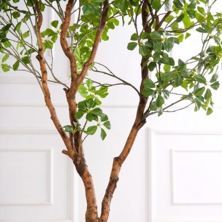 150/ВИТ/АСС/534(з)(F) Шеффлера искусственная Компакта h150см d60х60см, латекс 150/ВИТ/АСС/534(з)(F) Шеффлера искусственная Компакта h150см d60х60см, латекс