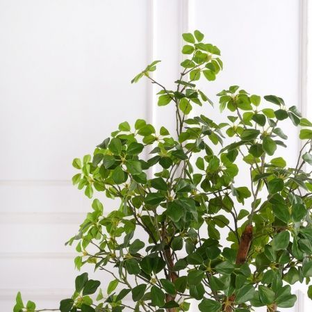 150/ВИТ/АСС/534(з)(F) Шеффлера искусственная Компакта h150см d60х60см, латекс 150/ВИТ/АСС/534(з)(F) Шеффлера искусственная Компакта h150см d60х60см, латекс