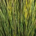 К351-6(з)(F) Трава Осока искусственная h200см в кокосовом боксе d60 h10см с мхом