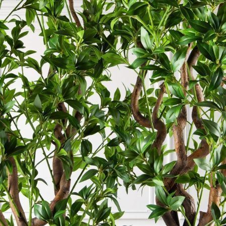 300/ВИТ/АСС/526(з)(УУ)(Пр)(F) Бересклет искусственный h300см 300/ВИТ/АСС/526(з)(УУ)(Пр)(F) Бересклет искусственный h300см