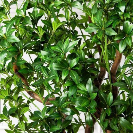 300/ВИТ/АСС/526(з)(УУ)(Пр)(F) Бересклет искусственный h300см 300/ВИТ/АСС/526(з)(УУ)(Пр)(F) Бересклет искусственный h300см