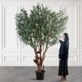 240/ОС/РН/АСС/465(з)(УУ)(F) Оливковое дерево искусственное с плодами h240см