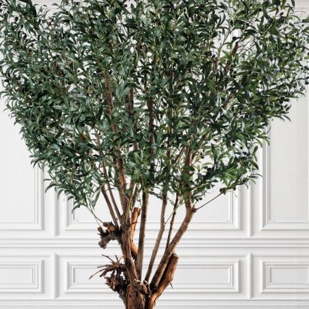 240/ОС/РН/АСС/465(з)(УУ)(F) Оливковое дерево искусственное с плодами h240см 240/ОС/РН/АСС/465(з)(УУ)(F) Оливковое дерево искусственное с плодами h240см