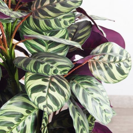 070/К/206(Пр)(F) Калатея искусственная h70см, зелено-фиолетовая