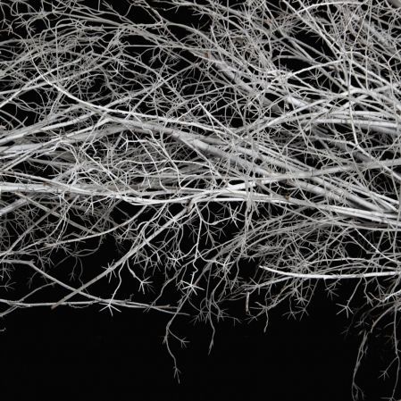 ДА09(з)(F) Декоративная искусственная арка с белыми ветками  350х280см