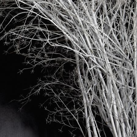 ДА09(з)(F) Декоративная искусственная арка с белыми ветками  350х280см