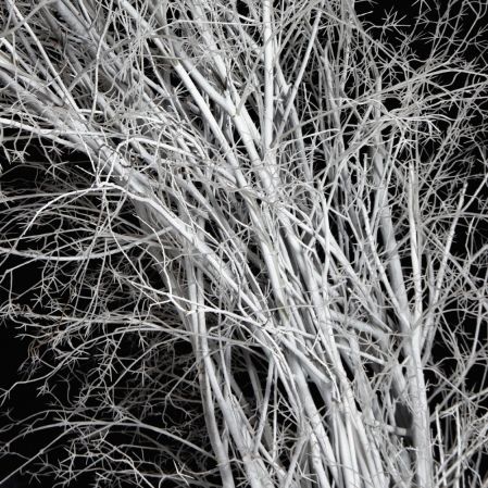 ДА09(з)(F) Декоративная искусственная арка с белыми ветками  350х280см