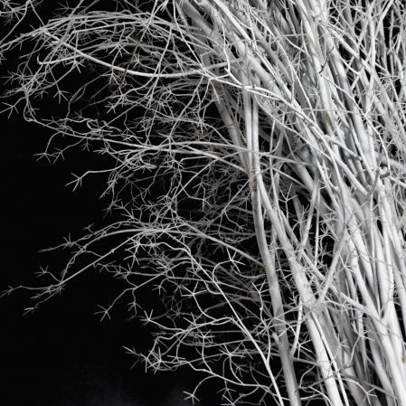 ДА09(з)(F) Декоративная искусственная арка с белыми ветками  350х280см