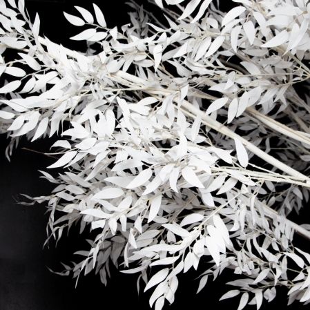 310Гбст/разб/РН/652(F) Ива интерьерная зимняя h310см d290,белая