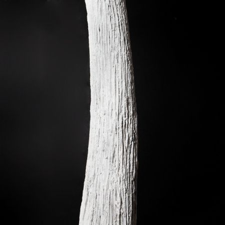 310Гбст/разб/РН/652(F) Ива интерьерная зимняя h310см d290,белая