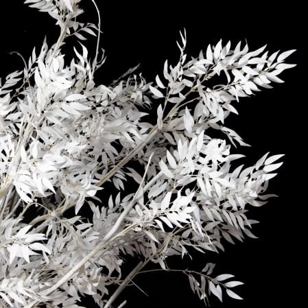 310Гбст/разб/РН/652(F) Ива интерьерная зимняя h310см d290,белая