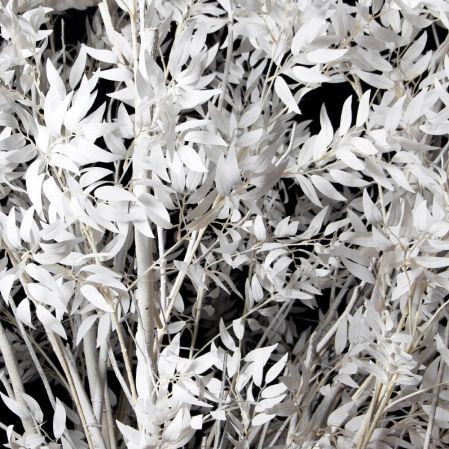 310Гбст/разб/РН/652(F) Ива интерьерная зимняя h310см d290,белая