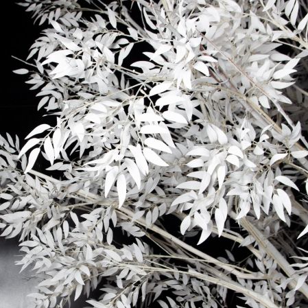 310Гбст/разб/РН/652(F) Ива интерьерная зимняя h310см d290,белая