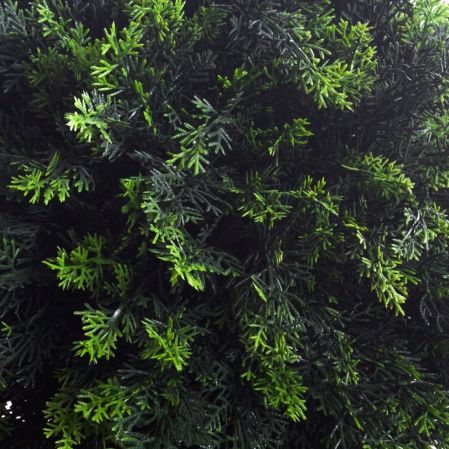 040/Ш/1460(Пр)(F) Туя искусственная шар  h50см, d40см