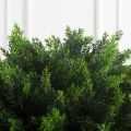 060/Ш/1460(Пр)(F) Туя искусственная шар  h70см, d60см