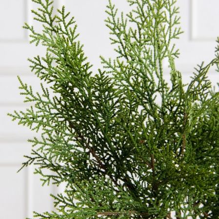 736А/9271-0036(Чп)(F) Ветки кипариса из 3штук h52см(32+20см)