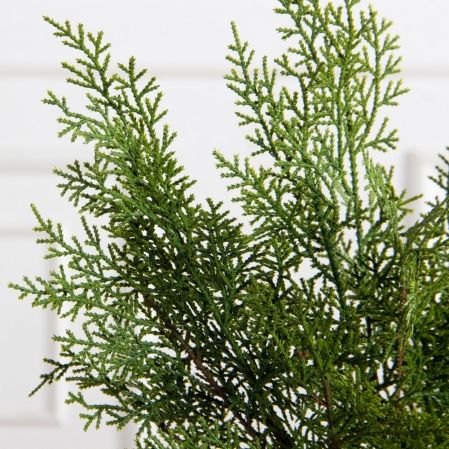 736А/9271-0036(Чп)(F) Ветки кипариса из 3штук h52см(32+20см)