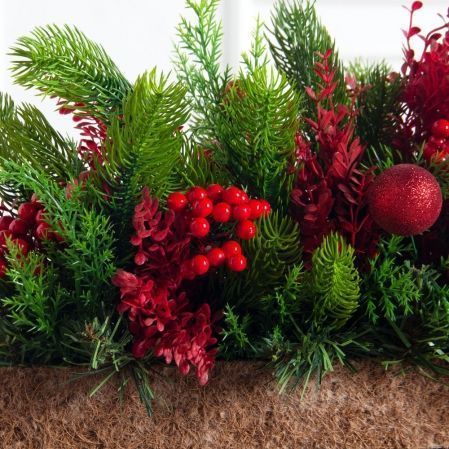 КНг53-1(з)(F)(Чп) Композиция НГ красно-зелен. h-27см в кокосовом боксе 67х10х5см КНг53-1(з)(F)(Чп) Композиция НГ красно-зелен. h-27см в кокосовом боксе 67х10х5см