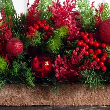 КНг53-1(з)(F)(Чп) Композиция НГ красно-зелен. h-27см в кокосовом боксе 67х10х5см КНг53-1(з)(F)(Чп) Композиция НГ красно-зелен. h-27см в кокосовом боксе 67х10х5см