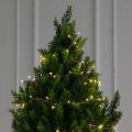 Т210/СВ03т/1460(Пр)(F) Туя искусственная конус h210см с гирляндой Роса Т210/СВ03т/1460(Пр)(F) Туя искусственная конус h210см с гирляндой Роса