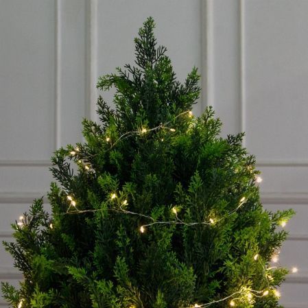 Т150/СВ03т/1460(Пр)(F) Туя искусственная конус h150см с гирляндой Роса Т150/СВ03т/1460(Пр)(F) Туя искусственная конус h150см с гирляндой Роса