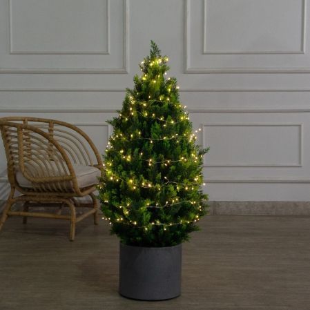 Т100/СВ03т/1460(Пр)(F) Туя искусственная конус h100см с гирляндой Роса Т100/СВ03т/1460(Пр)(F) Туя искусственная конус h100см с гирляндой Роса