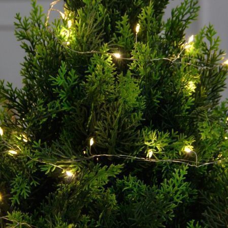 Т100/СВ03т/1460(Пр)(F) Туя искусственная конус h100см с гирляндой Роса Т100/СВ03т/1460(Пр)(F) Туя искусственная конус h100см с гирляндой Роса