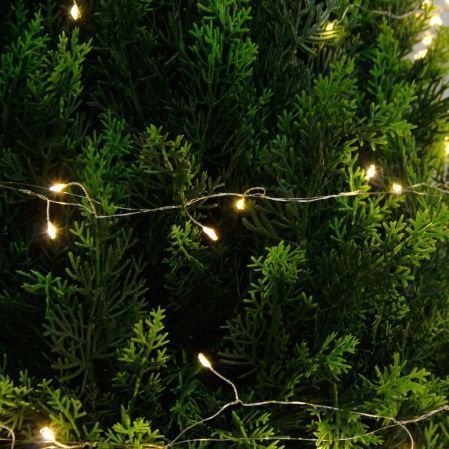 Т100/СВ03т/1460(Пр)(F) Туя искусственная конус h100см с гирляндой Роса Т100/СВ03т/1460(Пр)(F) Туя искусственная конус h100см с гирляндой Роса