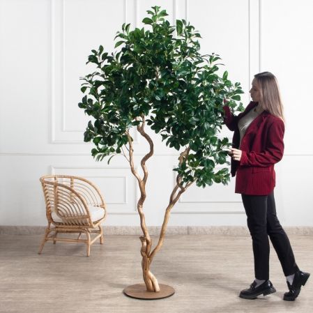 230/ВИТ/208(Пр)(F) Рускус искусственный h230см на основании, латекс