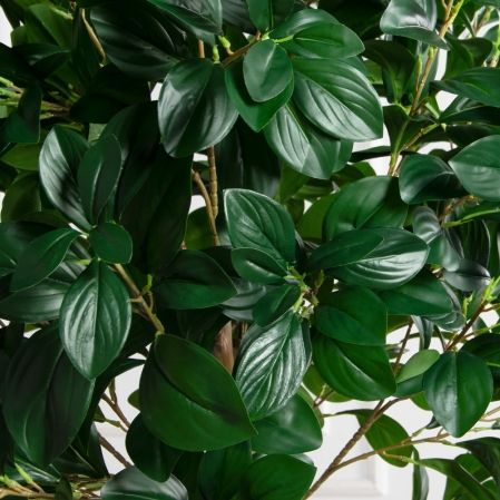 230/ВИТ/208(Пр)(F) Рускус искусственный h230см на основании, латекс 230/ВИТ/208(Пр)(F) Рускус искусственный h230см на основании, латекс