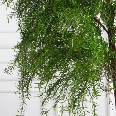 180/РН/648(Пр)(F) Криптомерия искусственная h180см 180/РН/648(Пр)(F) Криптомерия искусственная h180см