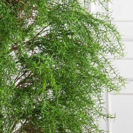 180/РН/648(Пр)(F) Криптомерия искусственная h180см 180/РН/648(Пр)(F) Криптомерия искусственная h180см