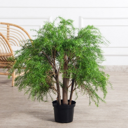 090/РН/648(Пр)(F) Криптомерия искусственная h90см