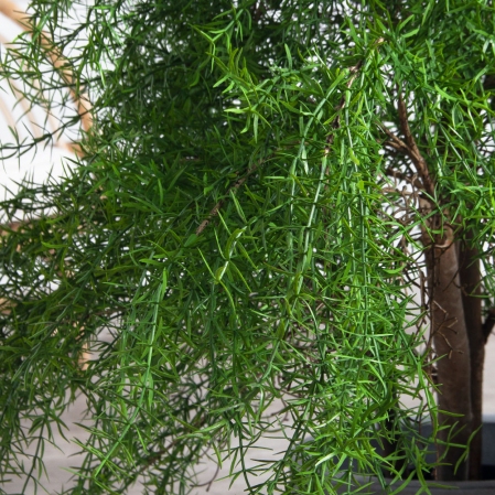 090/РН/648(Пр)(F) Криптомерия искусственная h90см