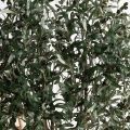 150/РН/АСС/465-1(з)(F) Оливковое дерево искусственное h150см