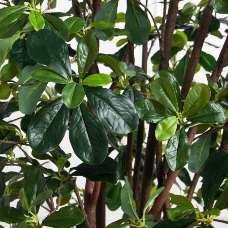 150/РН/84-4(з)(F) Шеффлера искусственная h150 см d 70 150/РН/84-4(з)(F) Шеффлера искусственная h150 см d 70