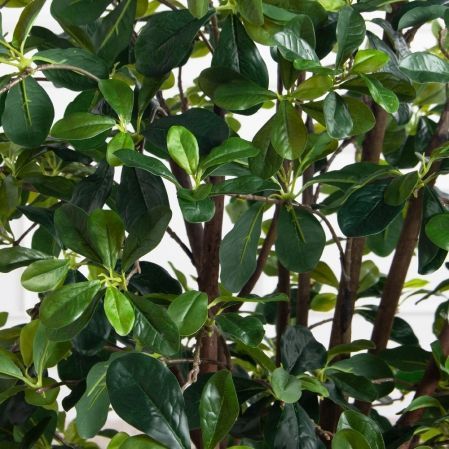 150/РН/84-4(з)(F) Шеффлера искусственная h150 см d 70 150/РН/84-4(з)(F) Шеффлера искусственная h150 см d 70