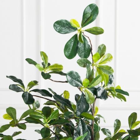 150/РН/84-4(з)(F) Шеффлера искусственная h150 см d 70 150/РН/84-4(з)(F) Шеффлера искусственная h150 см d 70