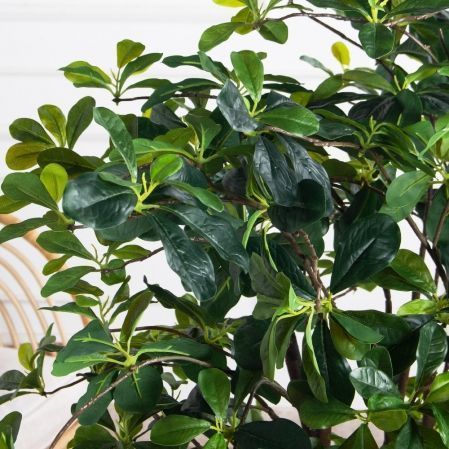 150/РН/84-4(з)(F) Шеффлера искусственная h150 см d 70 150/РН/84-4(з)(F) Шеффлера искусственная h150 см d 70