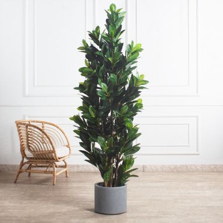 180/К/418-1(Пр)(F) Фикус Эластика Робуста искусственный h180см