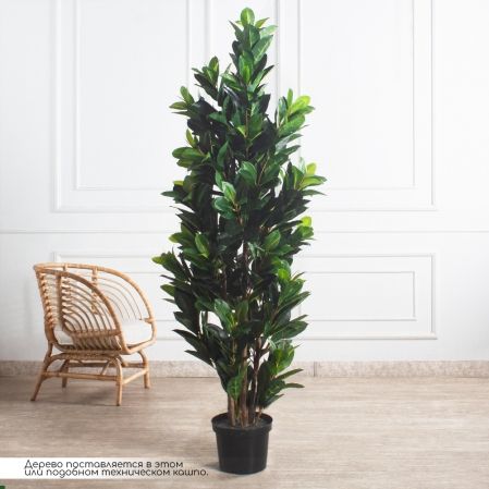 180/К/418-1(Пр)(F) Фикус Эластика Робуста искусственный h180см 180/К/418-1(Пр)(F) Фикус Эластика Робуста искусственный h180см